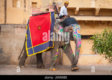 JAIPUR, Indien - Januar 28, 2017: Unbekannter Männer Fahrt eingerichtet Elefanten in Jaleb Chowk in Fort Amber in Jaipur, Indien. Elefantenreiten sind beliebte Stockfoto