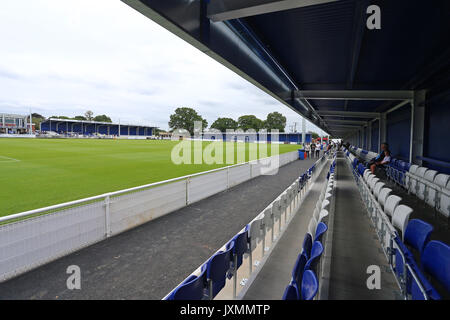 Allgemeine Ansicht der Boden vor billericay Stadt vs Leyton Orient, Freundschaftsspiel Fußball an der AGP-Arena am 29. Juli 2017 Stockfoto