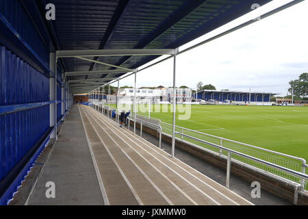 Allgemeine Ansicht der Boden vor billericay Stadt vs Leyton Orient, Freundschaftsspiel Fußball an der AGP-Arena am 29. Juli 2017 Stockfoto