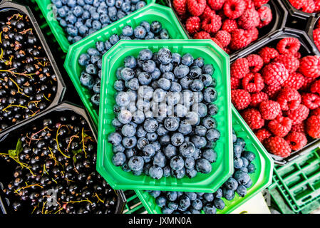 Himbeeren, Heidelbeeren, Johannisbeeren in Körben auf dem lokalen Markt im Sommer verkauft. Stockfoto