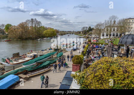 Richmond Park, London, England Stockfoto