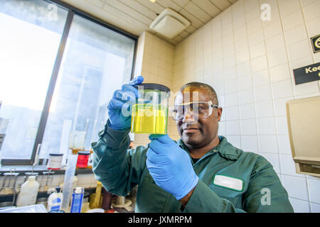 Lab Technician in Becher gelb Biokraftstoff Biokraftstoff anlage Labor Stockfoto