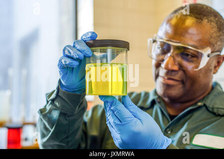 Lab Technician in Becher gelb Biokraftstoff Biokraftstoff anlage Labor Stockfoto