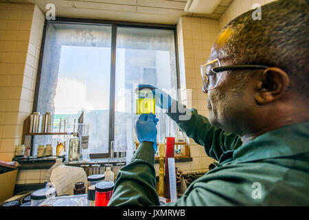 Lab Technician in Becher gelb Biokraftstoff Biokraftstoff anlage Labor Stockfoto