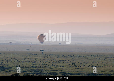 Ballon Safari über Gnuwanderung, Masai Mara National Reserve, Kenia Stockfoto