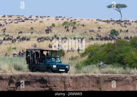 Eine Safari in der Masai Mara National Reserve, Kenia, Afrika Stockfoto