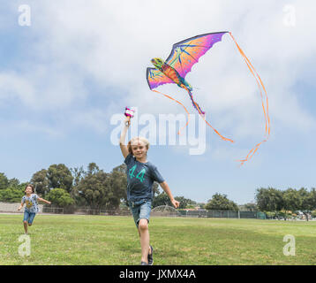 Junge Drachen Stockfoto