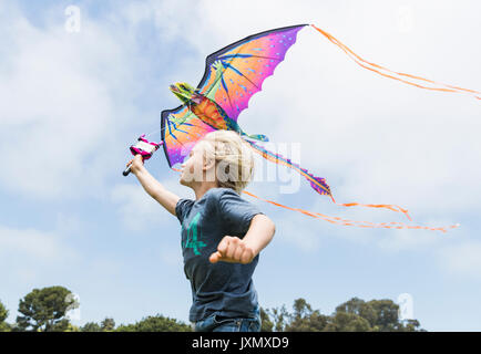 Junge Drachen Stockfoto