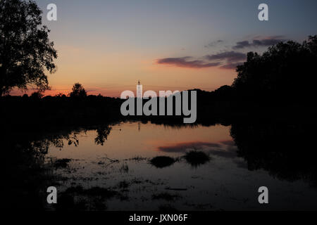 Sonnenuntergang mit einem elektrischen Pylon neben einem See im New Forest National Park Stockfoto