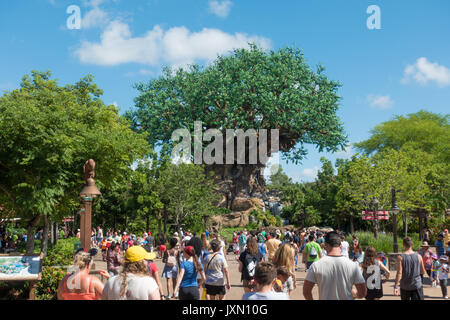 Baum des Lebens in Disneys Animal Kingdom Theme Park in Orlando, Florida. Stockfoto