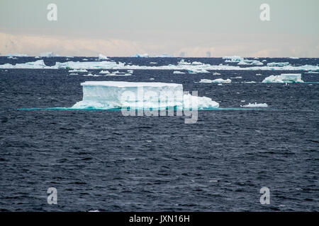 Antarktis - Non-Tabular Eisbergs - Pinnacle geformte Eisberg im Ozean - Antarktis In einem bewölkten Tag driften Stockfoto