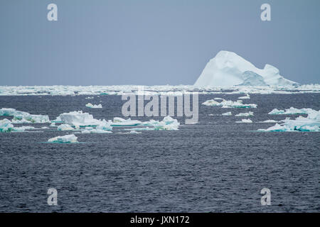 Antarktis - Non-Tabular Eisbergs - Pinnacle geformte Eisberg im Ozean - Antarktis In einem bewölkten Tag driften Stockfoto