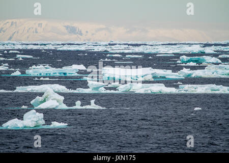 Antarktis - Non-Tabular Eisbergs - Pinnacle geformte Eisberg im Ozean - Antarktis In einem bewölkten Tag driften Stockfoto