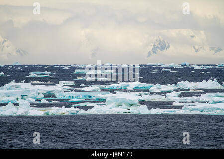 Antarktis - Non-Tabular Eisbergs - Pinnacle geformte Eisberg im Ozean - Antarktis In einem bewölkten Tag driften Stockfoto