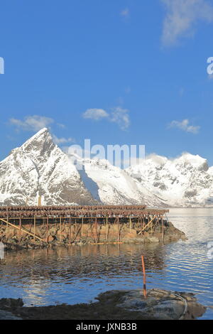 Cod Köpfe hängen von der A-förmigen Holz- trockner in der kalten Winterluft zu Stockfisch geworden. Halterungen umliegenden Vorfjorden im Hintergrund. Rundkulten-Sakrisoy Stockfoto