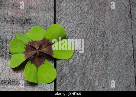 Einladungskarte mit Four Leaf Clover. Stockfoto