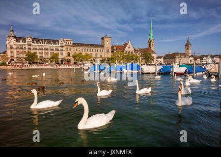 Zürich. Stadtbild Bild von Zürich, Schweiz während der sonnigen Sommermorgen. Stockfoto