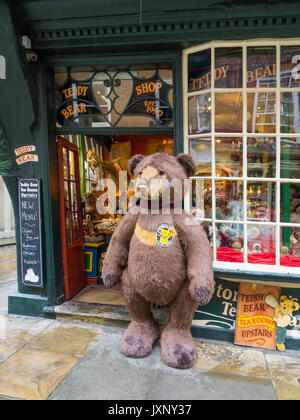 Die ursprüngliche Teddybären Shop und Cafe im Stonegate in der Stadt York Stockfoto