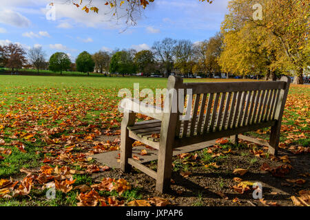 Leere Holzbank in hügeligen Feldern in Brockley (London) im Herbst mit Laub. Querformat. Stockfoto