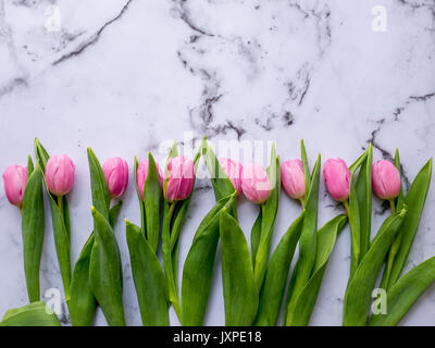 Rosa Tulpen in einer Linie auf einem Marmortisch angeordnet. Flach. Querformat. Stockfoto