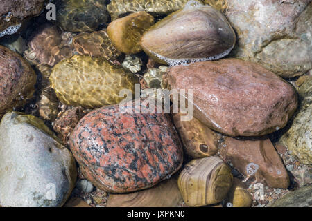 Bunte verschiedene nasse Steine im Wasser Stockfoto