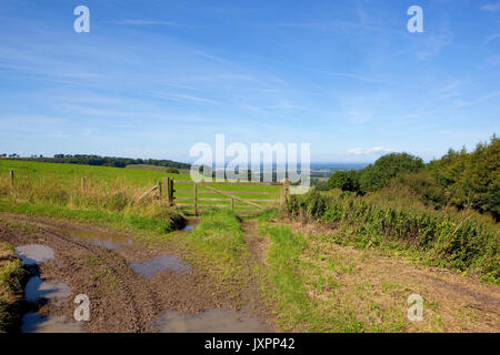 Eine grasbedeckte Hügel Wiese mit einem hölzernen Tor mit Blick auf das Tal von York mit Hecken und Wälder unter einem blauen Sommerhimmel in Yorkshire Wolds Stockfoto