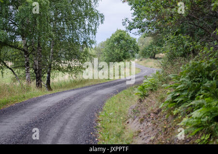 Lange kurvenreiche Straße in Schweden im späteren Sommer. Stockfoto