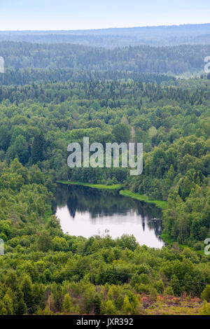 Luftaufnahme über den kleinen See und die Insel umgeben von Wäldern Stockfoto