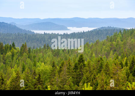 Luftaufnahme über den kleinen See und die Insel umgeben von Wäldern Stockfoto
