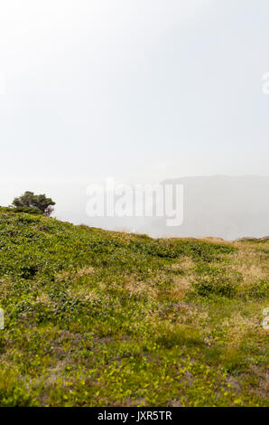 Cape Spear ragt in den Nordatlantik. Als wir dort waren, gab es niedrig liegenden Nebel Banken, gehalten und Auszug. Nicht wie die Ansicht. . . Stockfoto