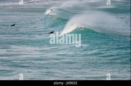 Zwei surfer Paddeln in die Wellen in Cornwall, England, Großbritannien Stockfoto