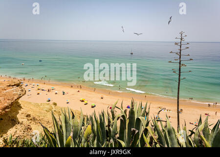 Blick von den Klippen zu belebten Strand Praia do Porto de Mos in der Nähe von Ponta da Piedade, Lagos Algarve Portugal Stockfoto