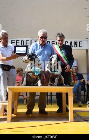 San Rocco (Rom): Fed Award des Hundes 2017. In der Foto: Die Sieger Gino und Gina, französische Jagdhunde mit Silvano Bertini Stockfoto