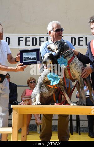 San Rocco (Rom): Fed Award des Hundes 2017. In der Foto: Die Sieger Gino und Gina, französische Jagdhunde mit Silvano Bertini Stockfoto