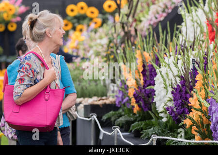 Southport, Merseyside, 17. August 2017. UK Wetter. Einen schönen sonnigen Start in den Tag als Besucher gießen in der Southport Flower Show in Merseyside. Volle 12 Monate Zubereitung geht in die Erstellung dieses fabelhafte Gartenbau Veranstaltung mit Blumen, Pflanzen und Gärten, Essen und Kochen, Einkaufen, Demonstrationen, Vorträge und musikalische Unterhaltung auf Show zu machen in diesem Jahr das beste überhaupt. Credit: cernan Elias/Alamy leben Nachrichten Stockfoto