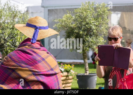 Southport, Merseyside, UK. 17 Aug, 2017. Öffnung Tag bei Southport Flower Show als Aussteller, Garten Designer, und floralen Exponate willkommen die Ankunft von bis zu 80.000 Besucher erwartet zu diesem berühmten jährlichen Veranstaltung zu besuchen. Kredit; MediaWorldImages/AlamyLiveNews Stockfoto