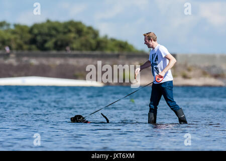 Chasewater Country Park, Burntwood, UK. 17 Aug, 2017. de Wetter. Ein nasser Start in den Tag gaben zu den herrlichen Sommer Sonnenschein am Nachmittag die sah Menschen in vollem Umfang an chasewater Country Park, Staffordshire. Credit: Daniel James armishaw/alamy leben Nachrichten Stockfoto