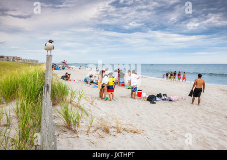 Seagul auf dem Zaun am Rockaway Beach, Long Island, New York Stockfoto