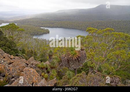 Blick über Vergessene See von der kleinen Hugel in Cradle Mountain-Lake St Clair National Park Stockfoto