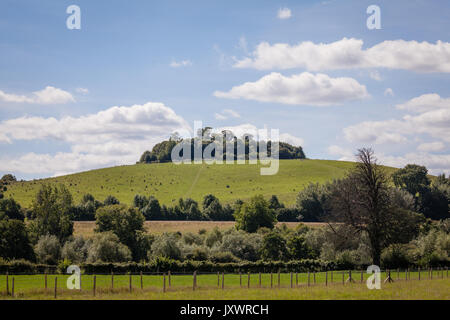 Wittenham Clups Stockfoto