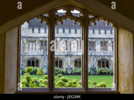 Oxfordshire, Oxford, UK, England, Radcliffe, Bibliothek Stockfoto