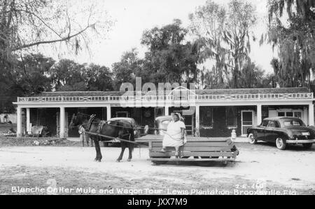 Ganzkörperportrait der afroamerikanischen Frau auf einem von einem Maultier gezogenen Wagen auf der Lewis Plantation in Brooksville, Florida, in einem weißen Kleid, vor einem Gebäude mit der Bezeichnung 'Dining Room', Florida, 1930. Stockfoto