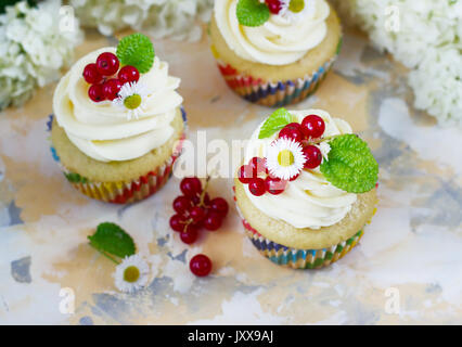 Sanfte Cupcake mit Sahne und Beeren auf einem hellen Hintergrund. Stockfoto