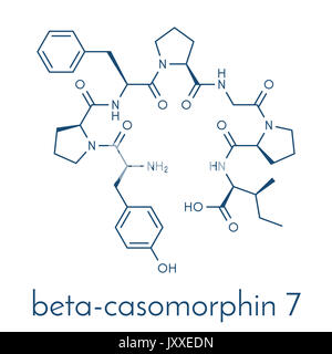 Beta-casomorphin Peptid 7 Molekül. Aufschlüsselung Produkt von Kasein, die eine Rolle in der menschlichen Krankheiten spielen können. Skelettmuskulatur Formel. Stockfoto