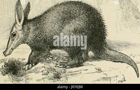 "Das Jahrhundert Wörterbuch und cyclopedia; eine Arbeit von Universal Referenz in allen Abteilungen des Wissens, der mit einer neuen Atlas der Welt.." (1897) Stockfoto