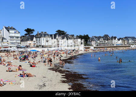 Quiberon (Bretagne, Frankreich): Der große Strand im Sommer, Schwimmen Stockfoto