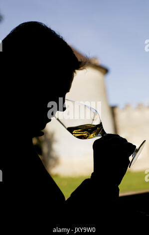 Silhouette eines Mannes Verkostung Wein im Chateau Yquem in Sauternes Stockfoto