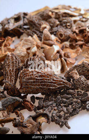 Saugues, Produktionsstandort des Unternehmens Borde SA, Wald Pilze Spezialist. Haufen verschiedener Pilze mit getrockneten girolle Champignons, Morcheln, Hörner Stockfoto