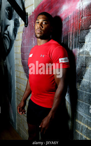 Anthony Josua bei einem Fotoshooting bei bxr London. PRESS ASSOCIATION Foto. Bild Datum: Donnerstag, 17. August 2017. Siehe PA Geschichte BOXING Joshua. Photo Credit: Jonathan Brady/PA-Kabel Stockfoto