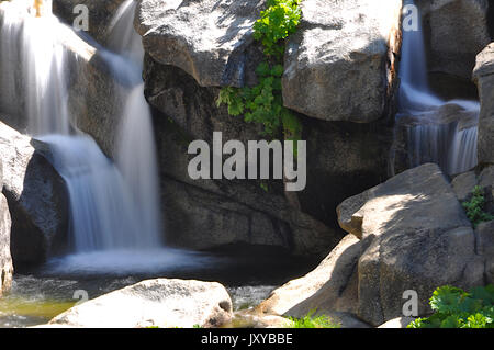 Eldorado National Forest, Kalifornien 7 17. Stockfoto